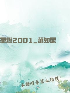 重燃2001
