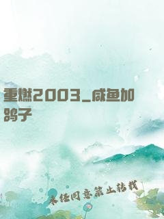 重燃2003