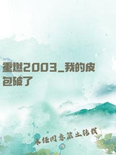 重燃2003