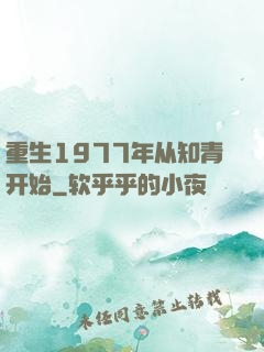 重生1977年从知青开始