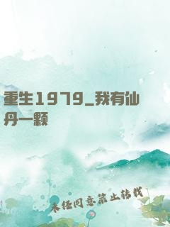 重生1979