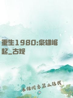 重生1980:枭雄崛起