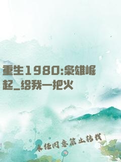 重生1980:枭雄崛起