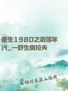 重生1980之激荡年代
