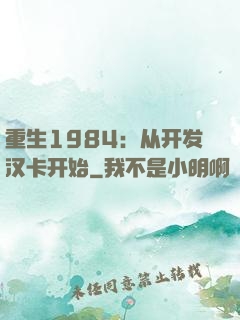 重生1984：从开发汉卡开始