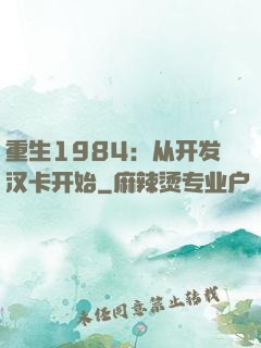 重生1984：从开发汉卡开始