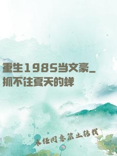 重生1985当文豪
