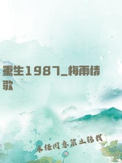 重生1987