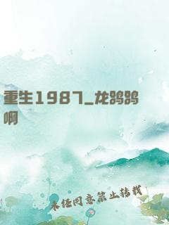 重生1987