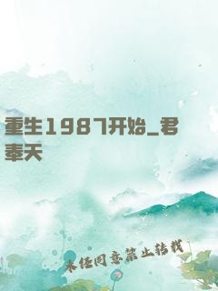 重生1987开始