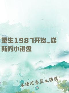 重生1987开始