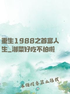 重生1988之首富人生
