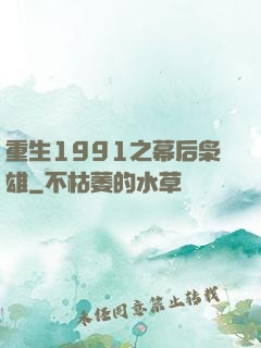 重生1991之幕后枭雄
