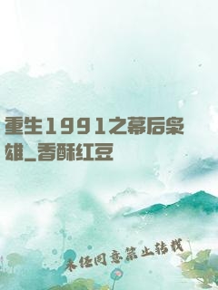 重生1991之幕后枭雄