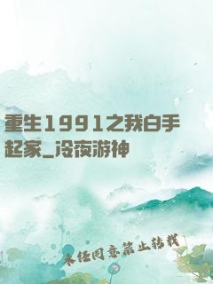 重生1991之我白手起家
