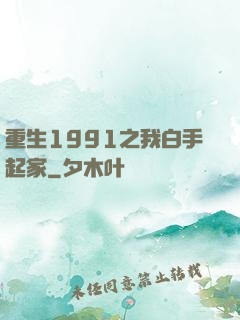 重生1991之我白手起家