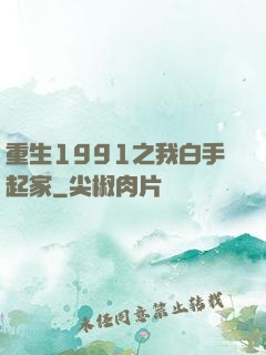 重生1991之我白手起家