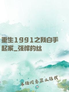 重生1991之我白手起家