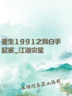 重生1991之我白手起家