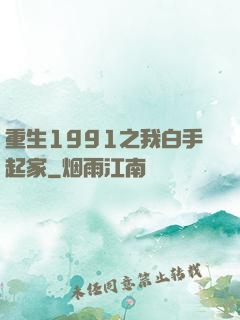 重生1991之我白手起家