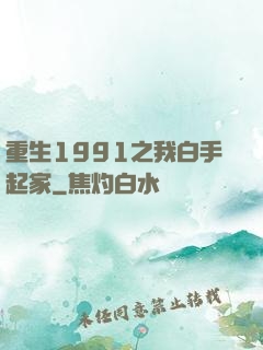 重生1991之我白手起家