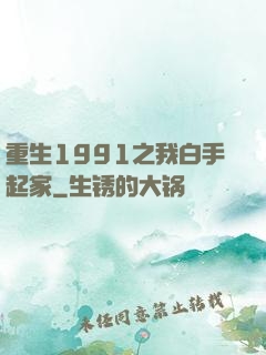 重生1991之我白手起家