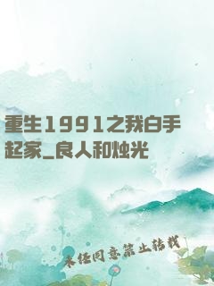 重生1991之我白手起家