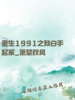 重生1991之我白手起家