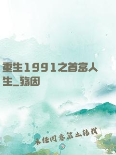 重生1991之首富人生