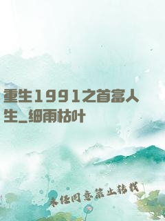 重生1991之首富人生