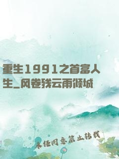 重生1991之首富人生