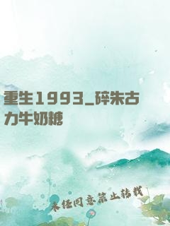 重生1993