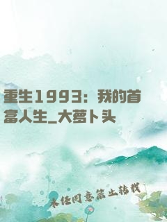 重生1993：我的首富人生