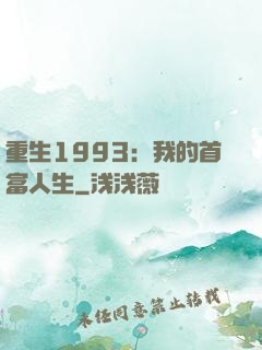 重生1993：我的首富人生