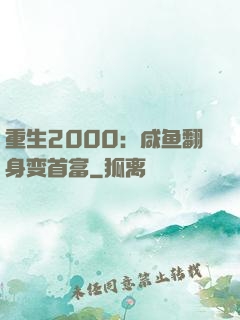 重生2000：咸鱼翻身变首富