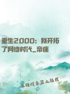 重生2000：我开拓了网络时代