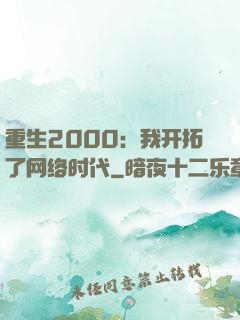 重生2000：我开拓了网络时代