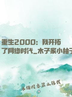 重生2000：我开拓了网络时代