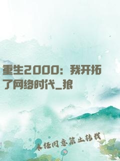 重生2000：我开拓了网络时代