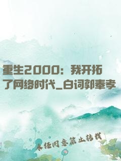 重生2000：我开拓了网络时代