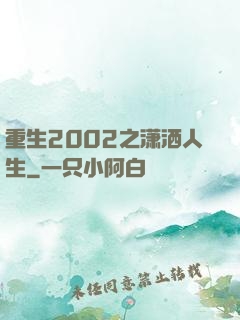 重生2002之潇洒人生