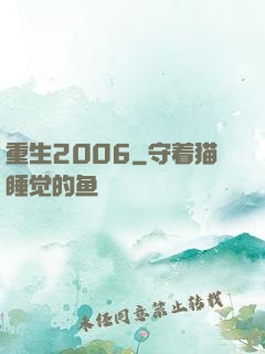 重生2006