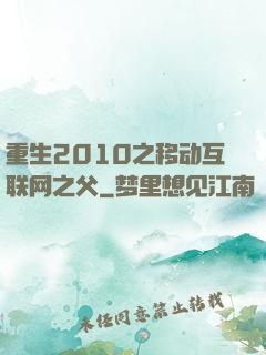 重生2010之移动互联网之父