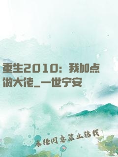 重生2010：我加点做大佬