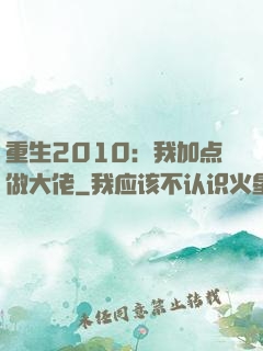 重生2010：我加点做大佬