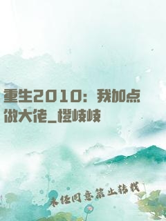 重生2010：我加点做大佬