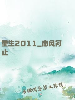 重生2011
