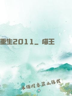 重生2011