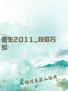 重生2011