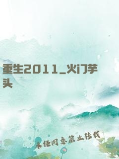 重生2011